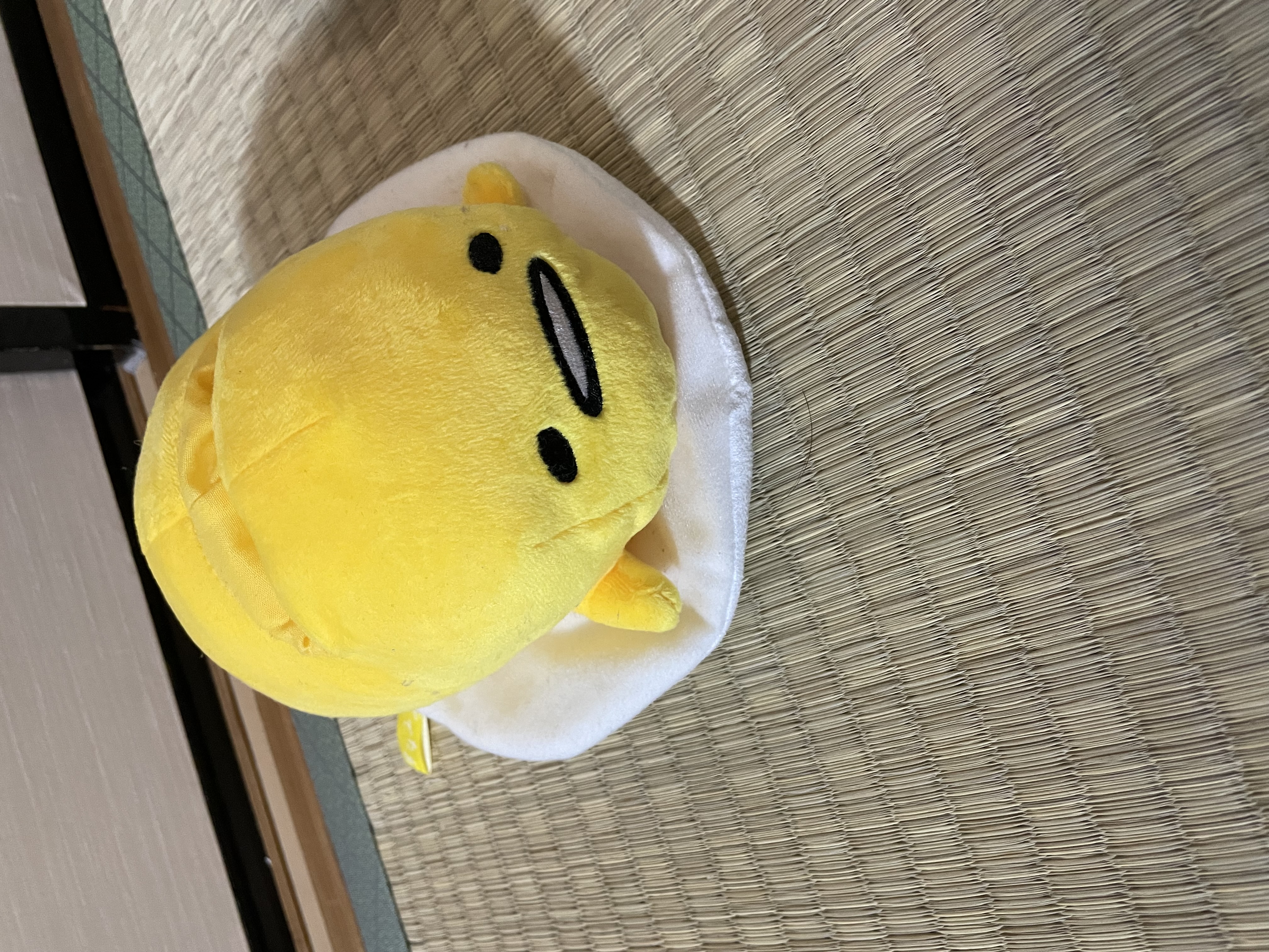 ka･:*フォロバ100