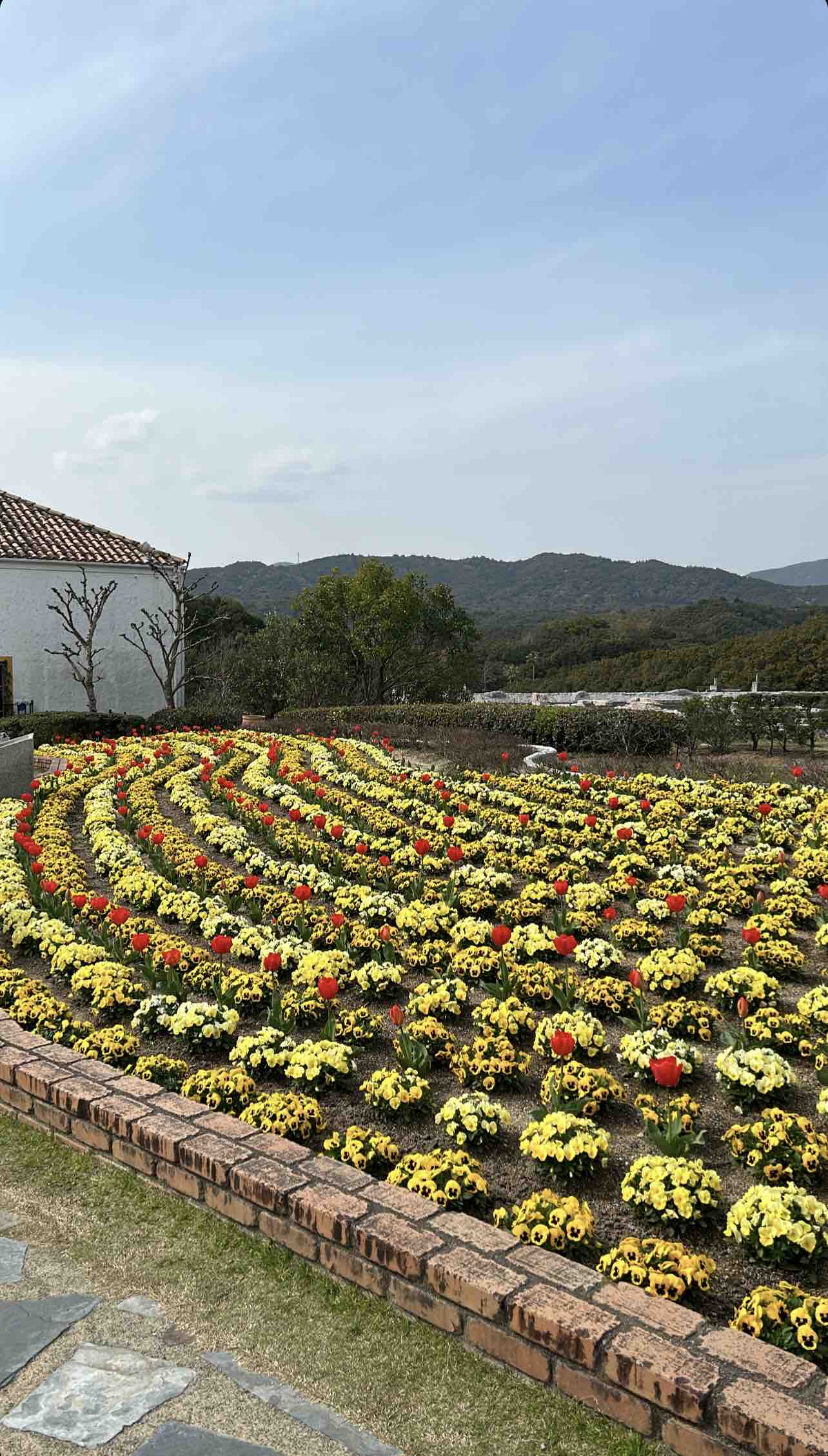 ゆさ@フォロバ100%