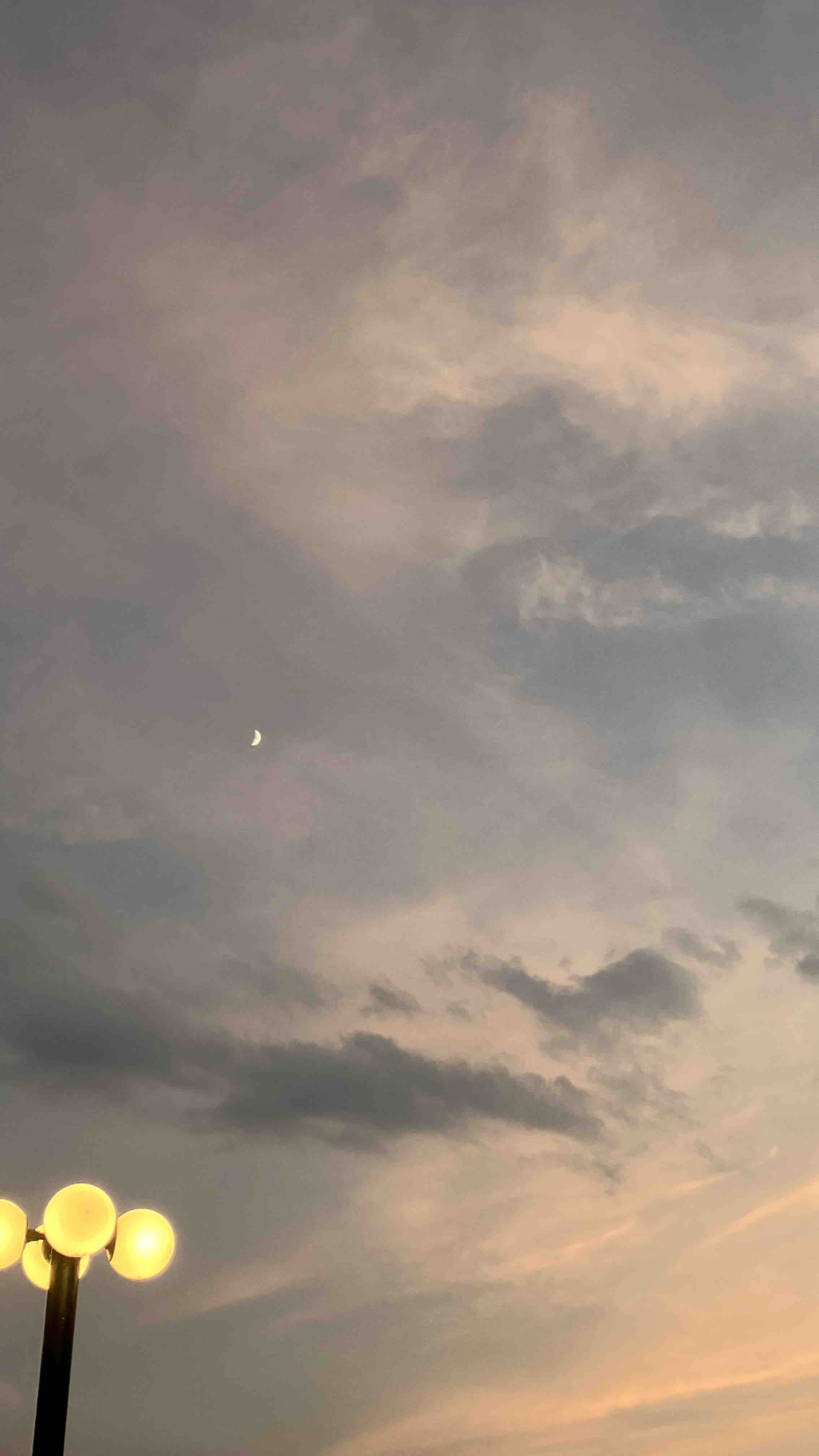 𝒓𝒊𝒏 @フォロバ100%