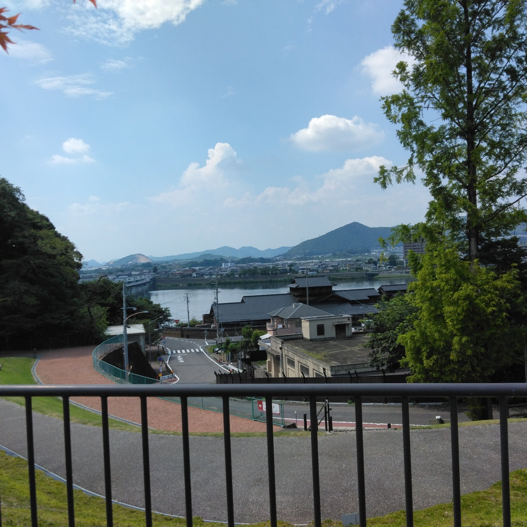 ひなピコ🐥⸒⸒