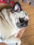 ういん