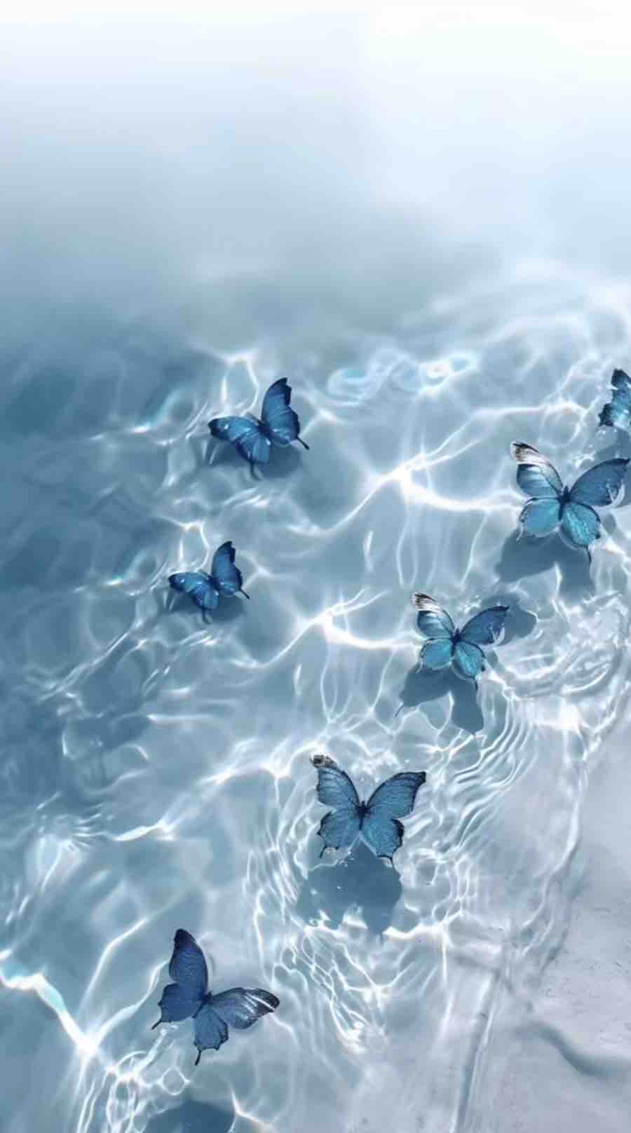 りんりん‎𐔌ᵔ ܸ>⩊<︎︎ ͡ 𐦯ᡣ𐭩