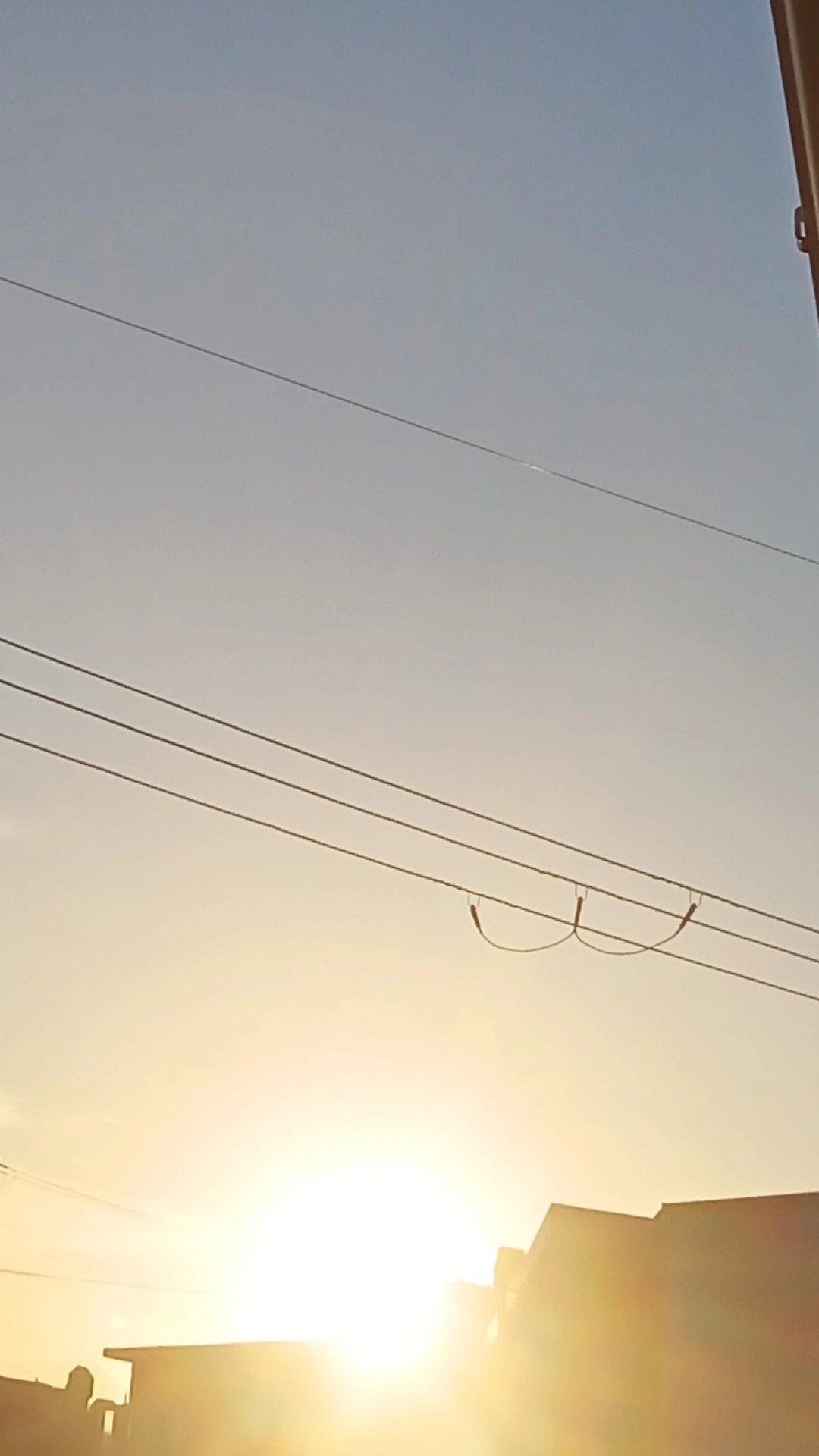 🦑🌱🚰/フォロバ