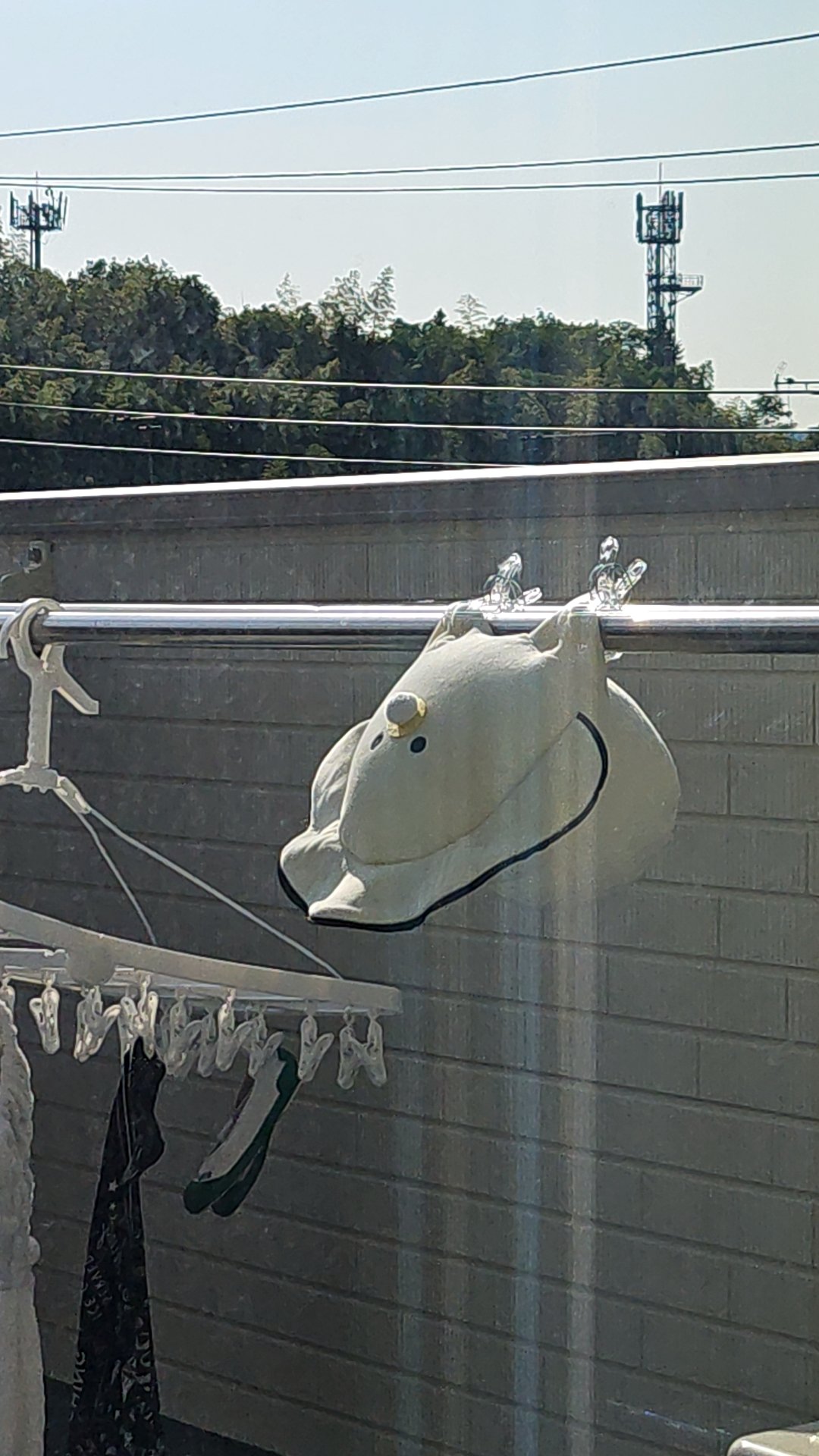 ﾅﾏｶﾞｷﾁｬﾝ🦪