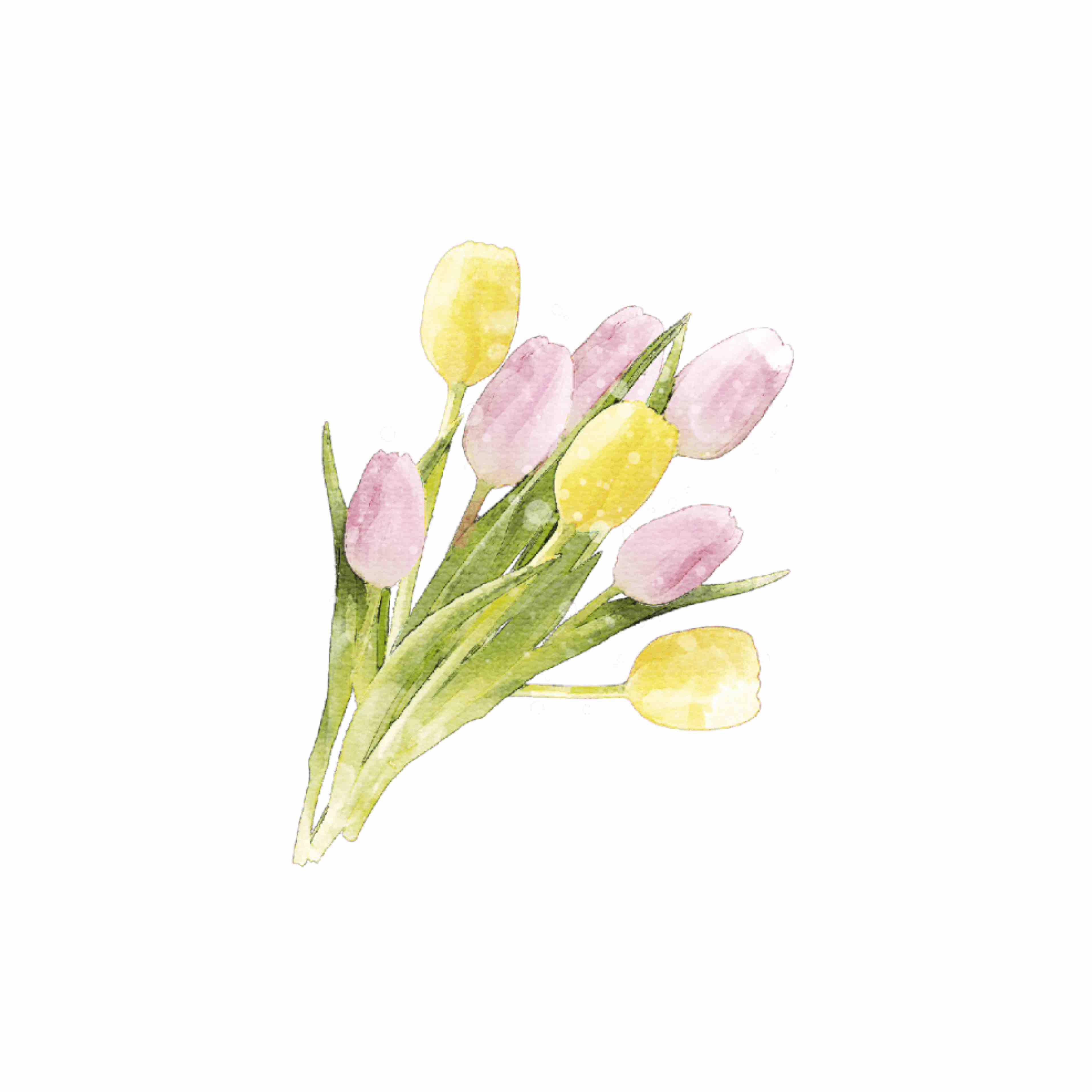 美雪／フォロバ