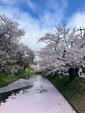 春から新卒