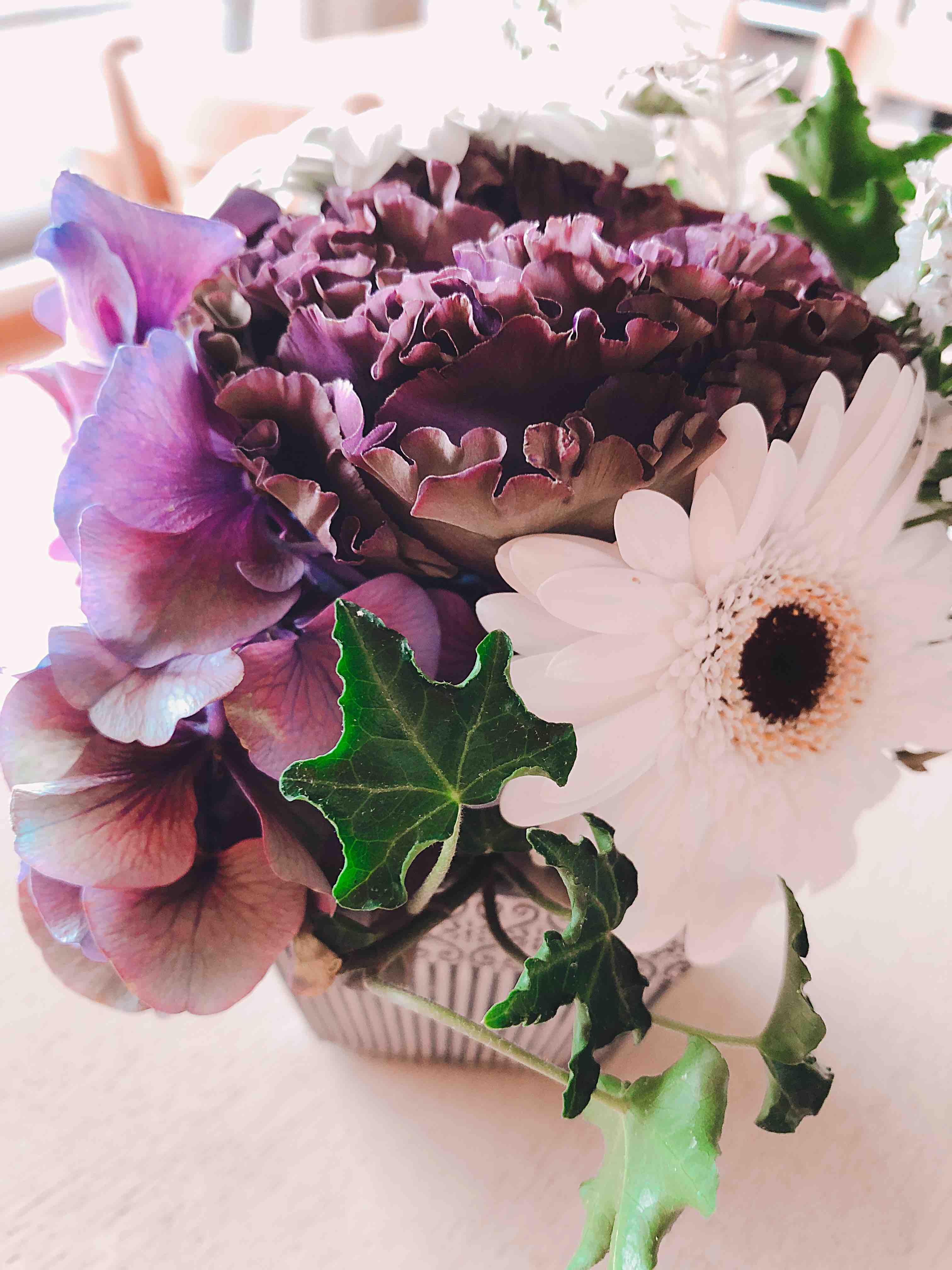 hiro⸜🌷︎⸝フォロバ100