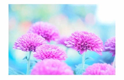 yuming_eng