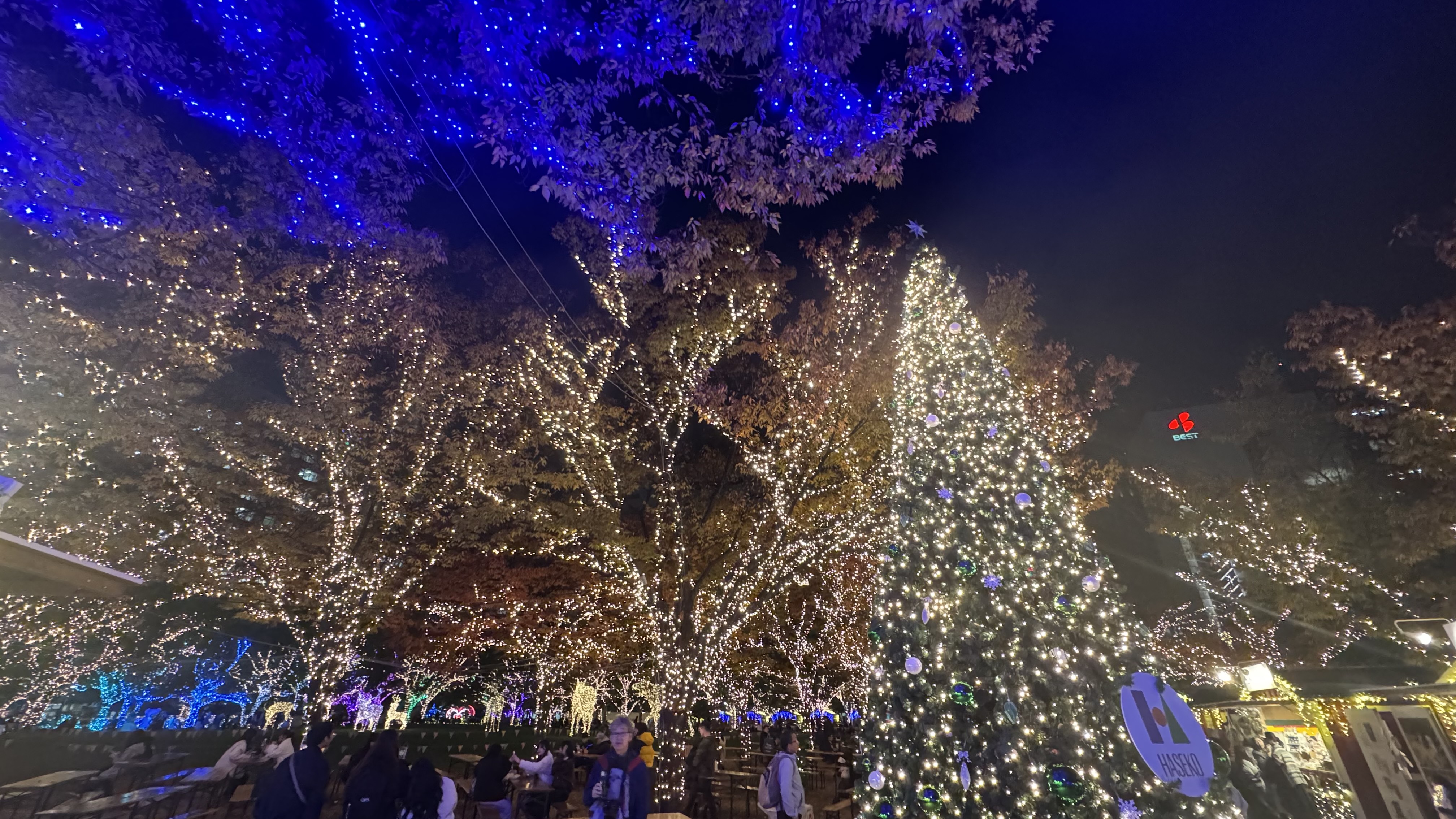 Kuron-黒ごま🐾フォロバ100