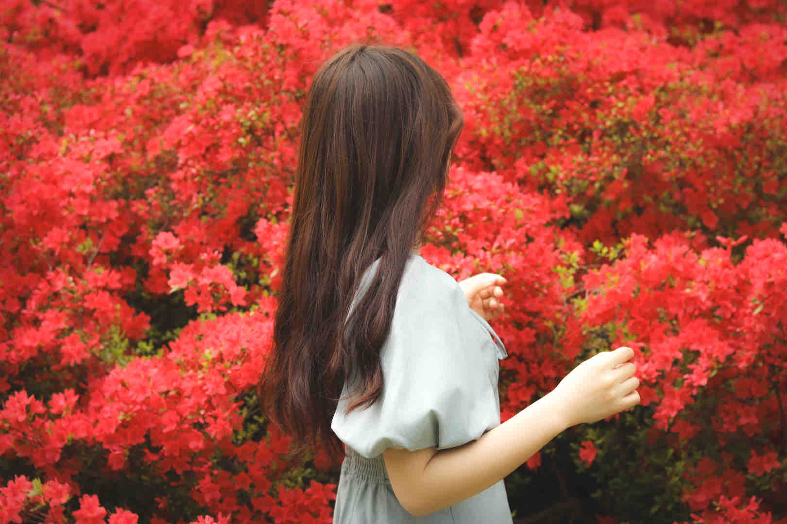 ある@フォロバ100%