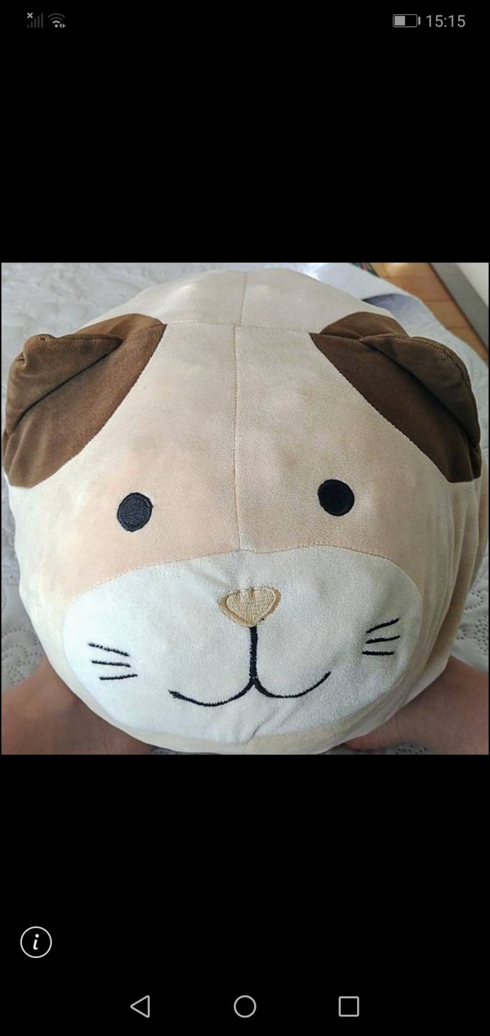 ねこやまちゃん