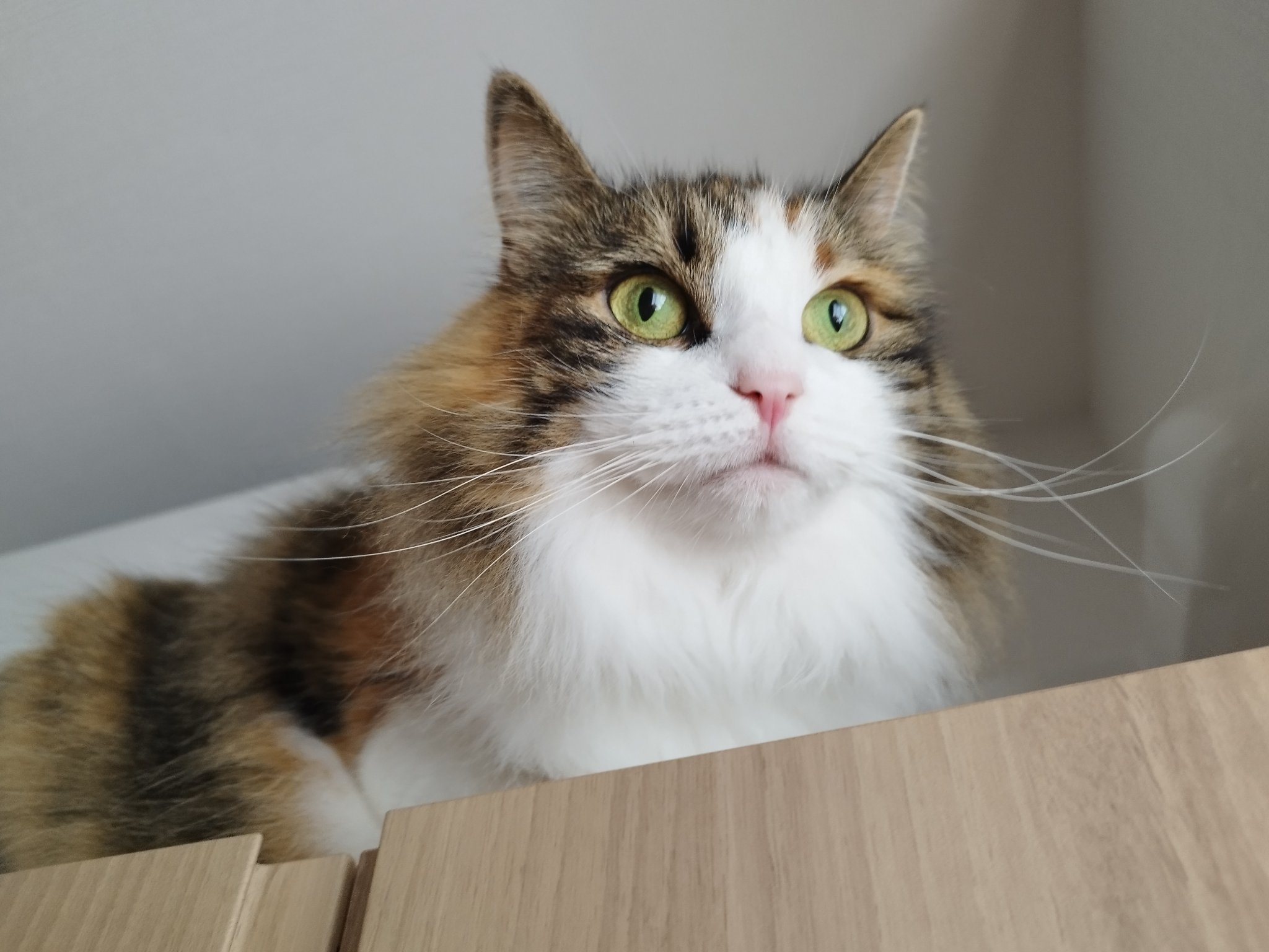 ちーぎう🍭💧