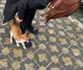 ありさ