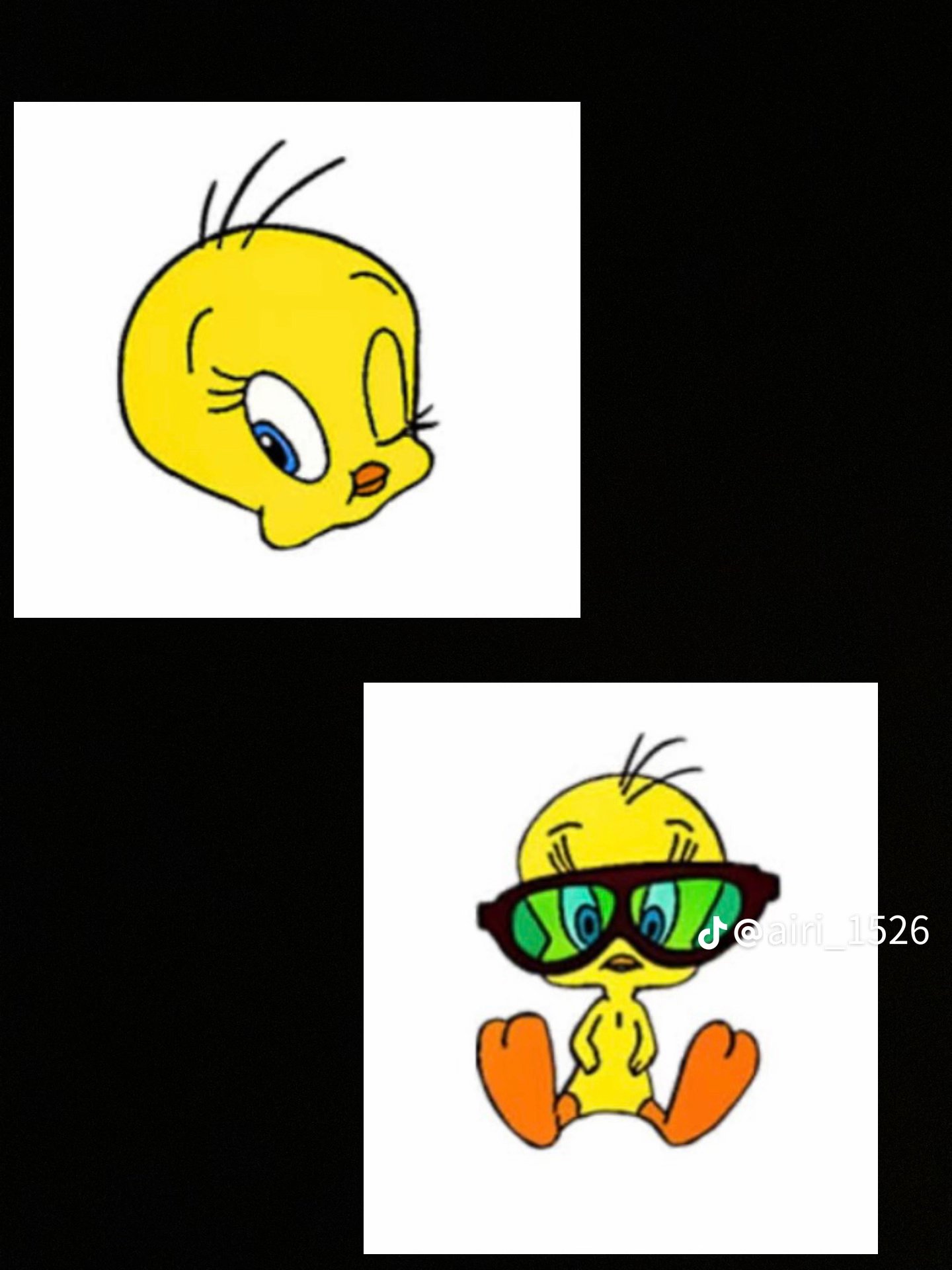 ［Sara]韓国コスメ好き