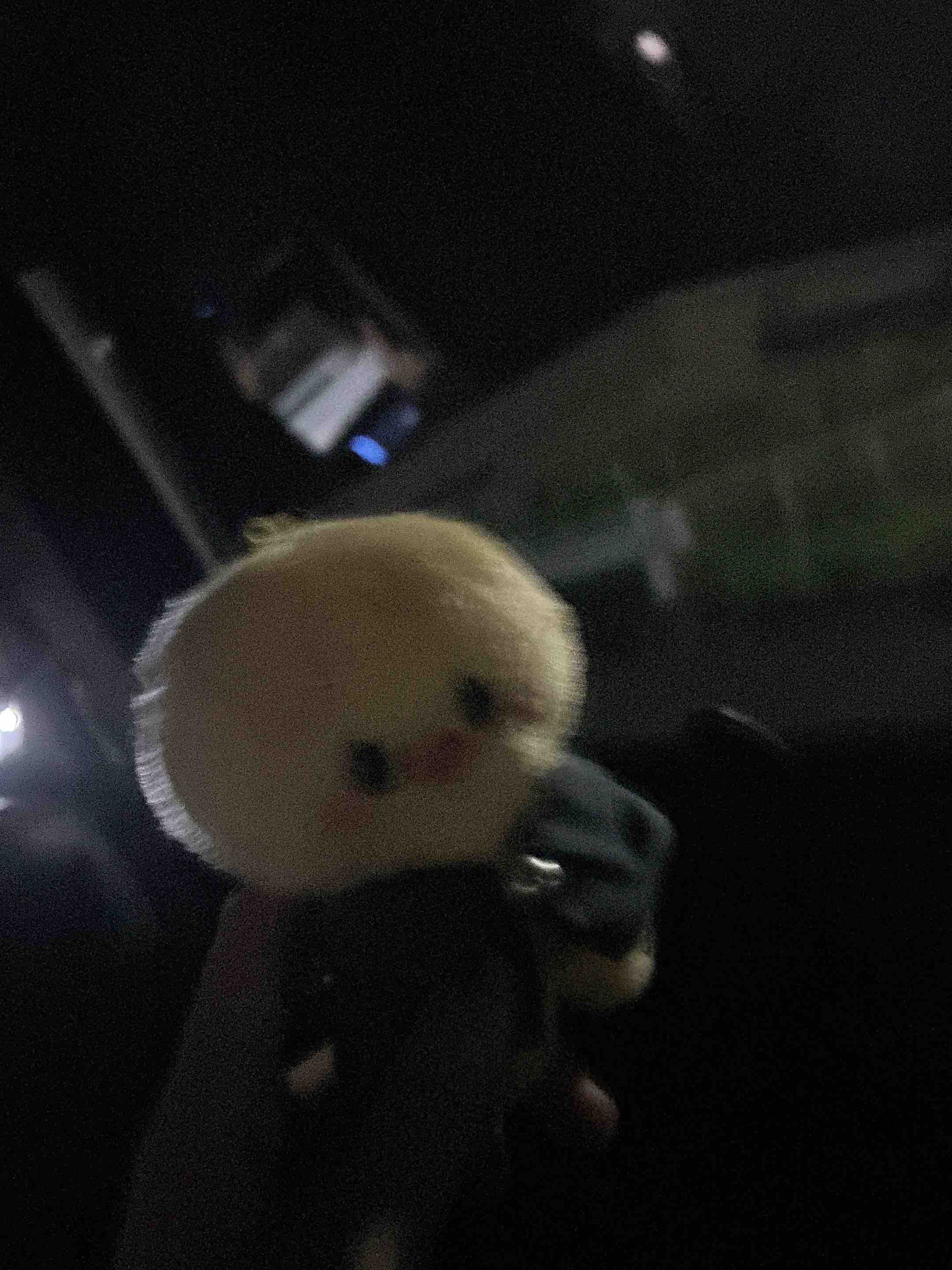 ‎꜀( ꜆-ࡇ-)꜆