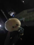 ꜀( ꜆-ࡇ-)꜆