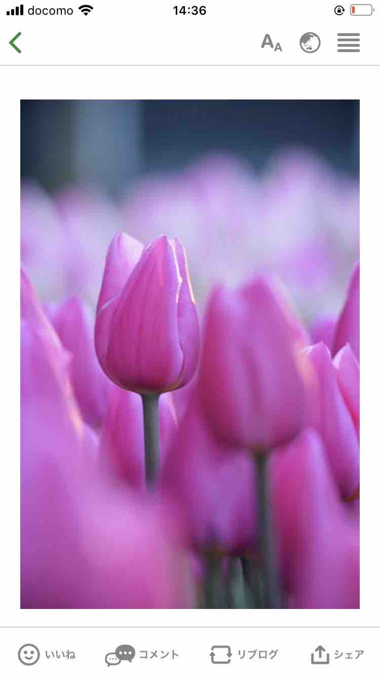 わかな フォロバします100🌷