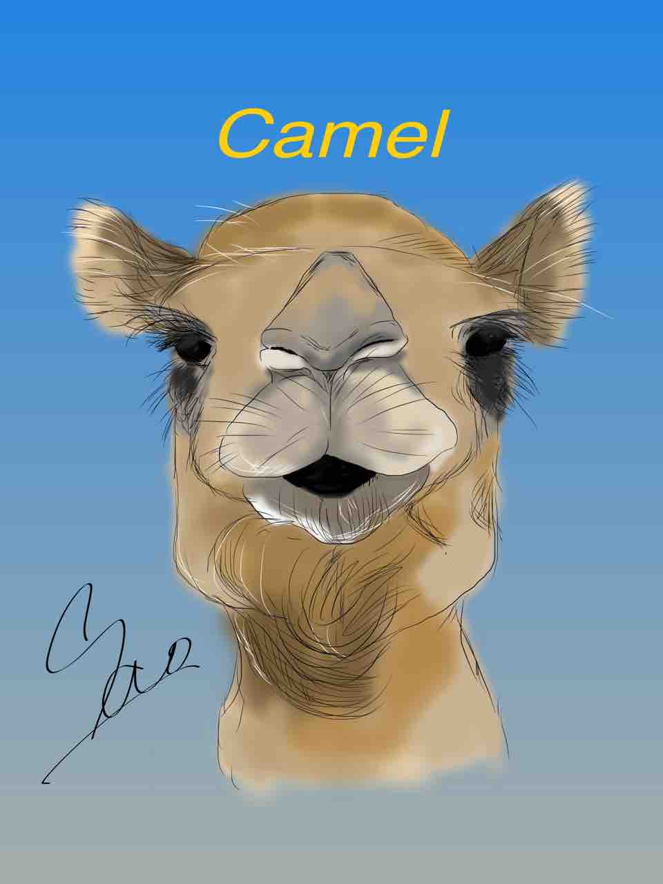 らくだの姫さま