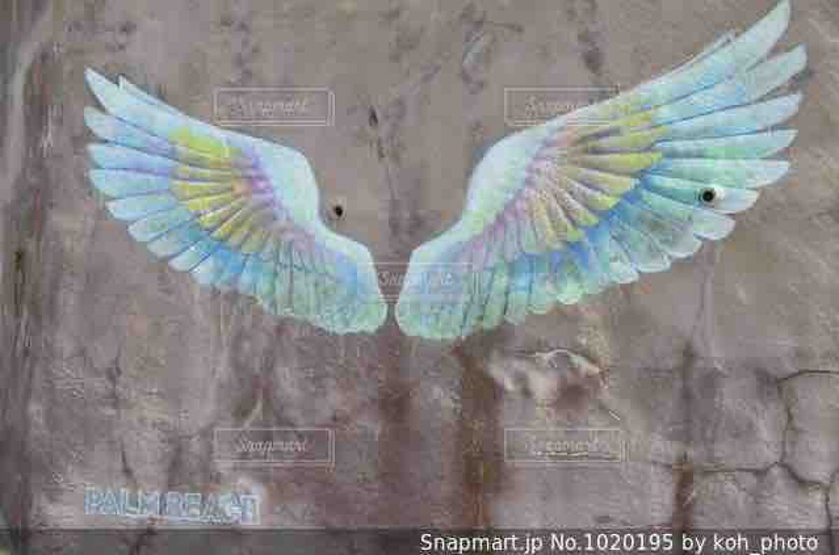 もちもちぽんぽん