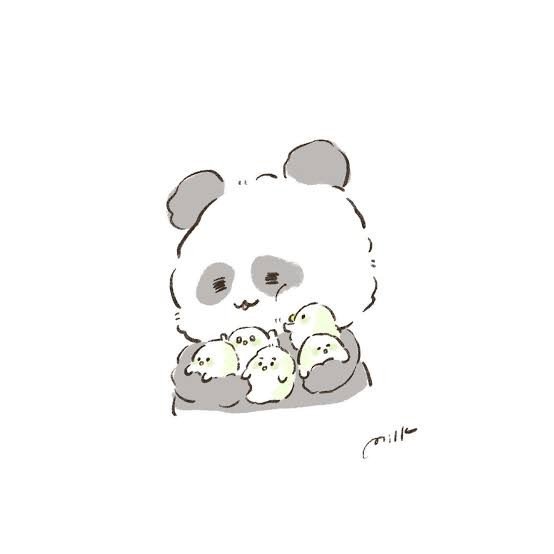 パンダ肌🐼