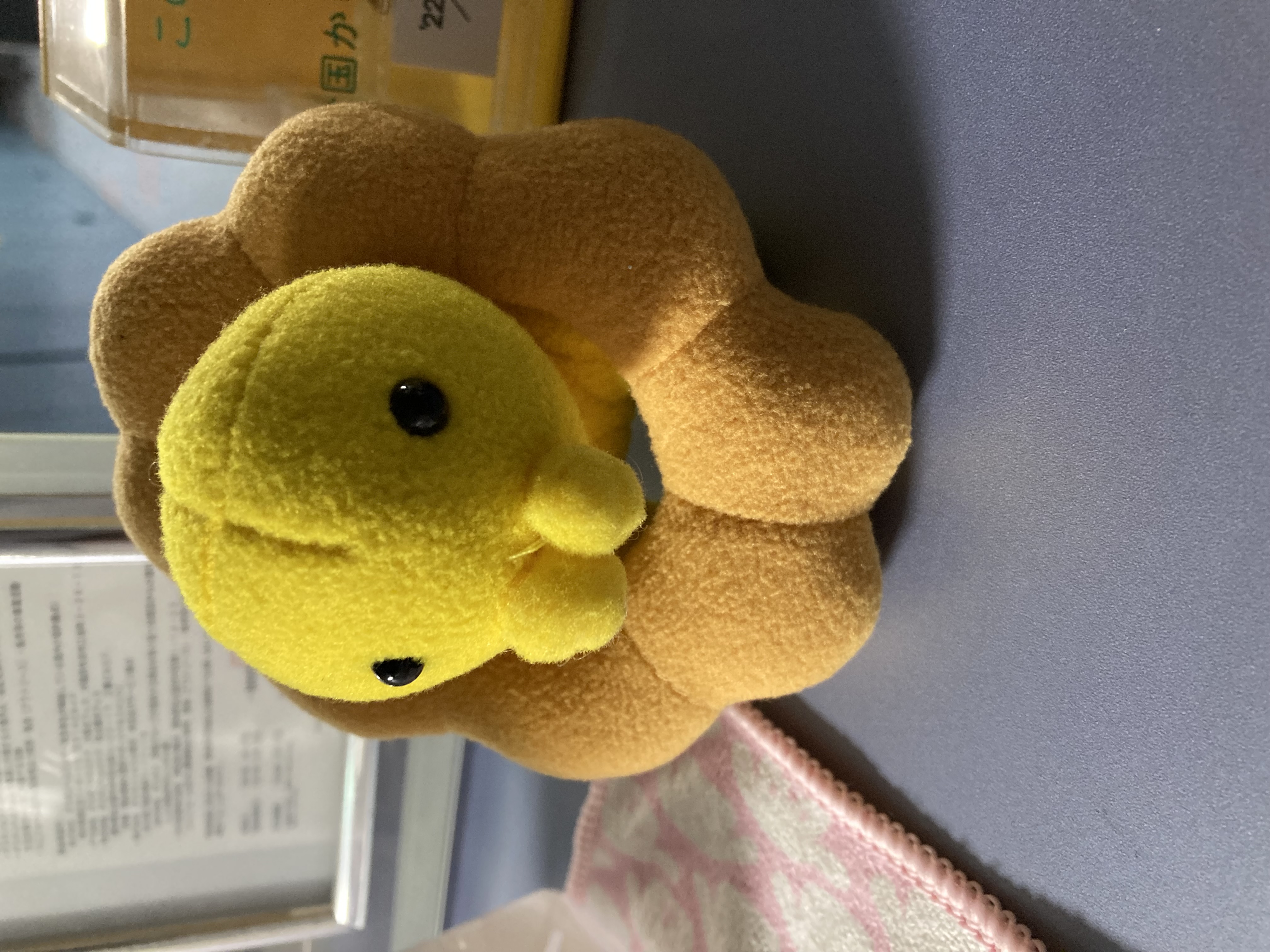 ひやややっここ