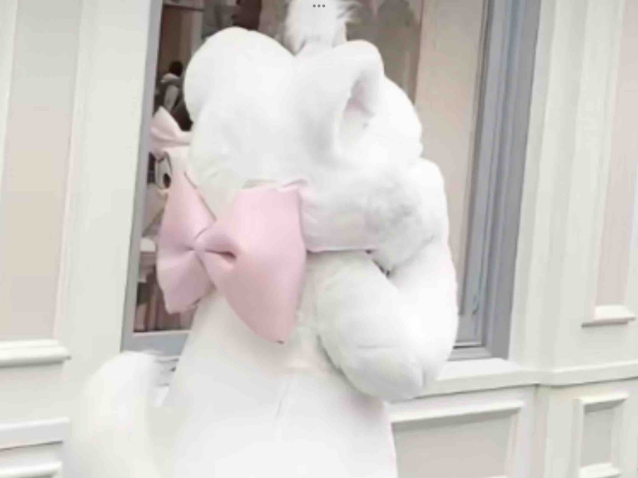 ゆき🐰🤍💭🍒