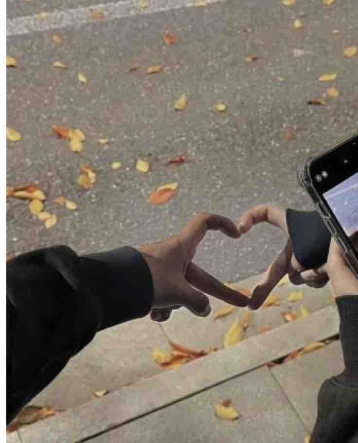 kotomi 💜フォロバ100だよ🐕🐾