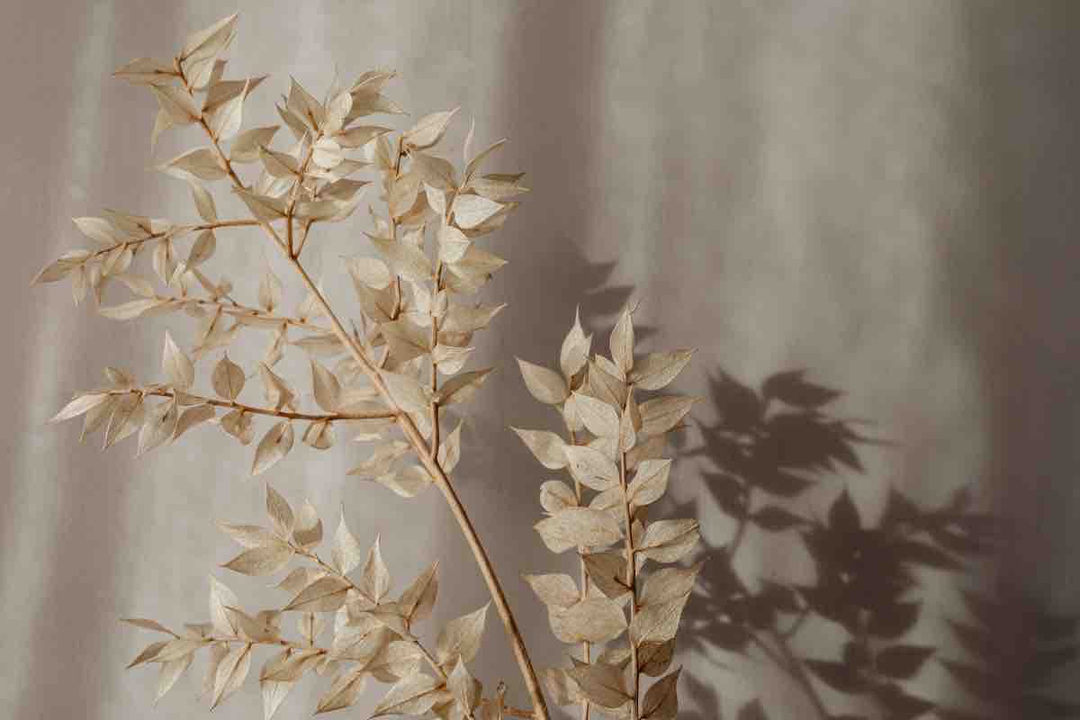 𝘶𝘬𝘢 𓂃 𓈒𓏸