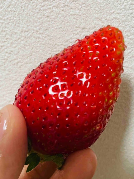 そそそ❤️