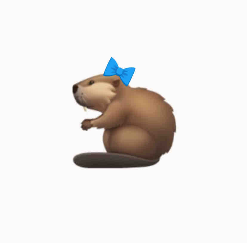 be / フォロバ100