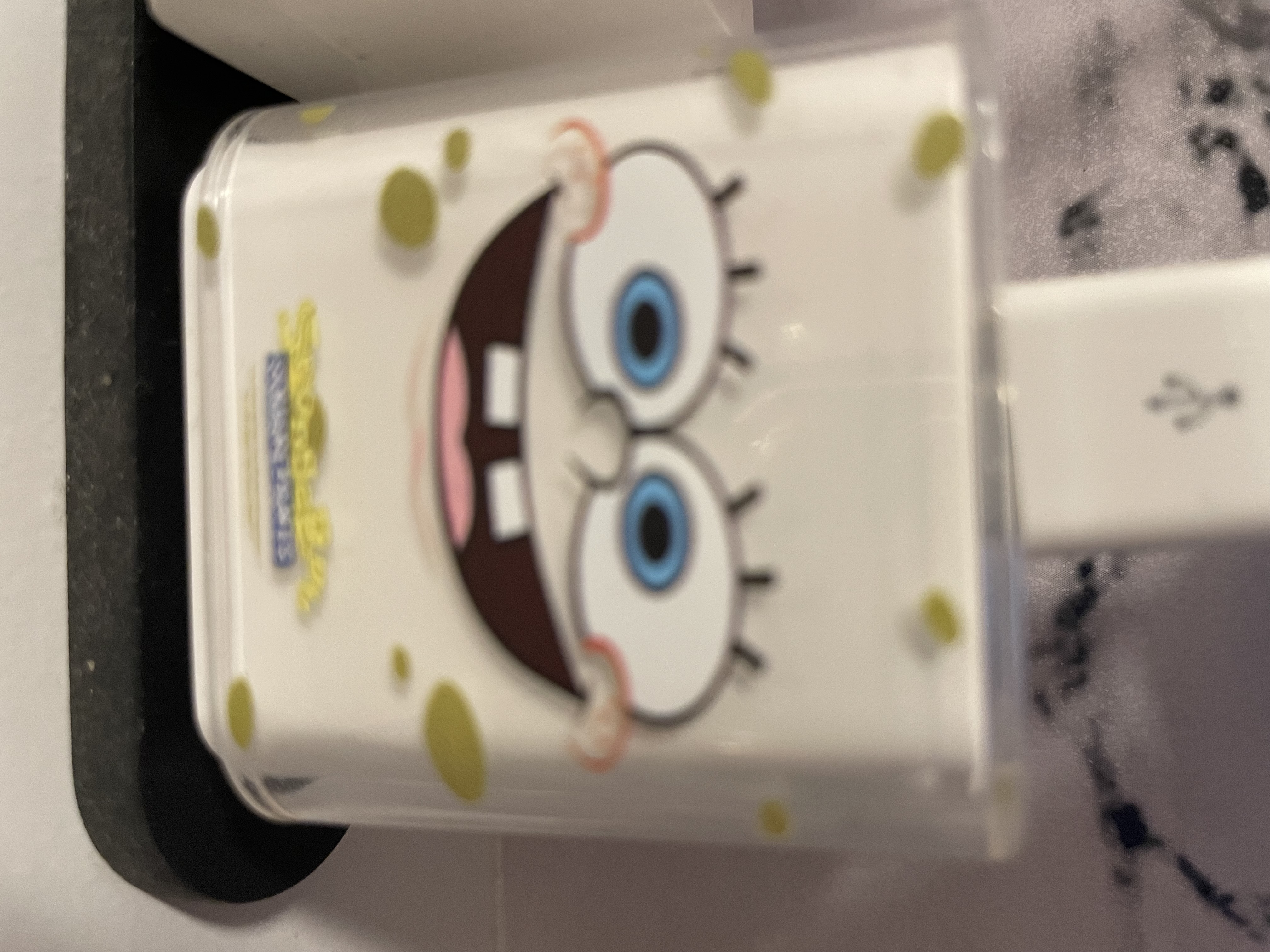 すぽんじぼぶ🦁