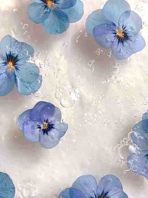 #𝓐𝔂𝓪𝓴𝓪