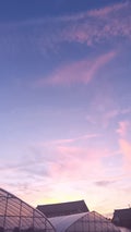 一ノ瀬