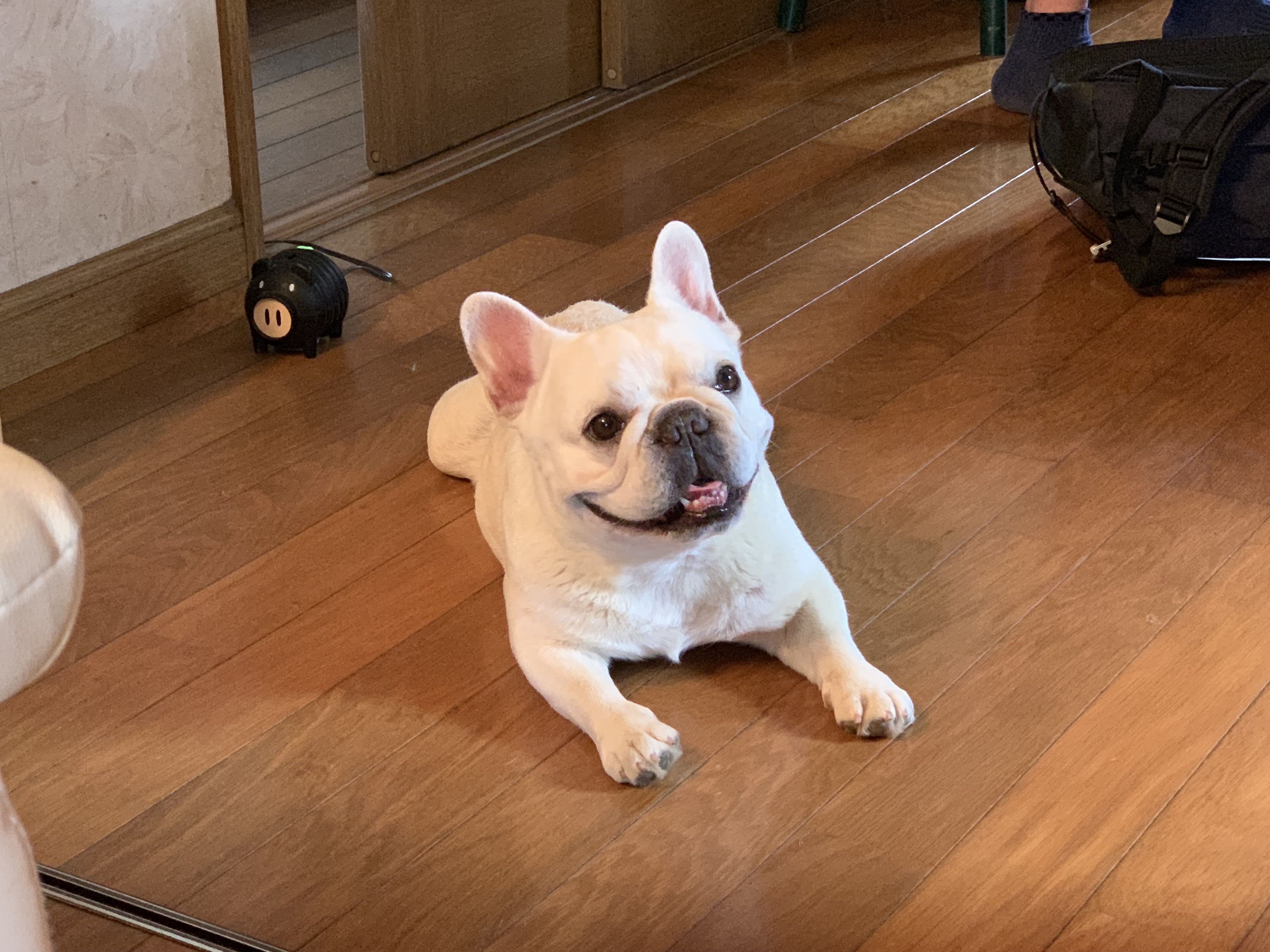 ｵﾆｷﾞﾘﾁｬﾝ🍙@フォロバ100！