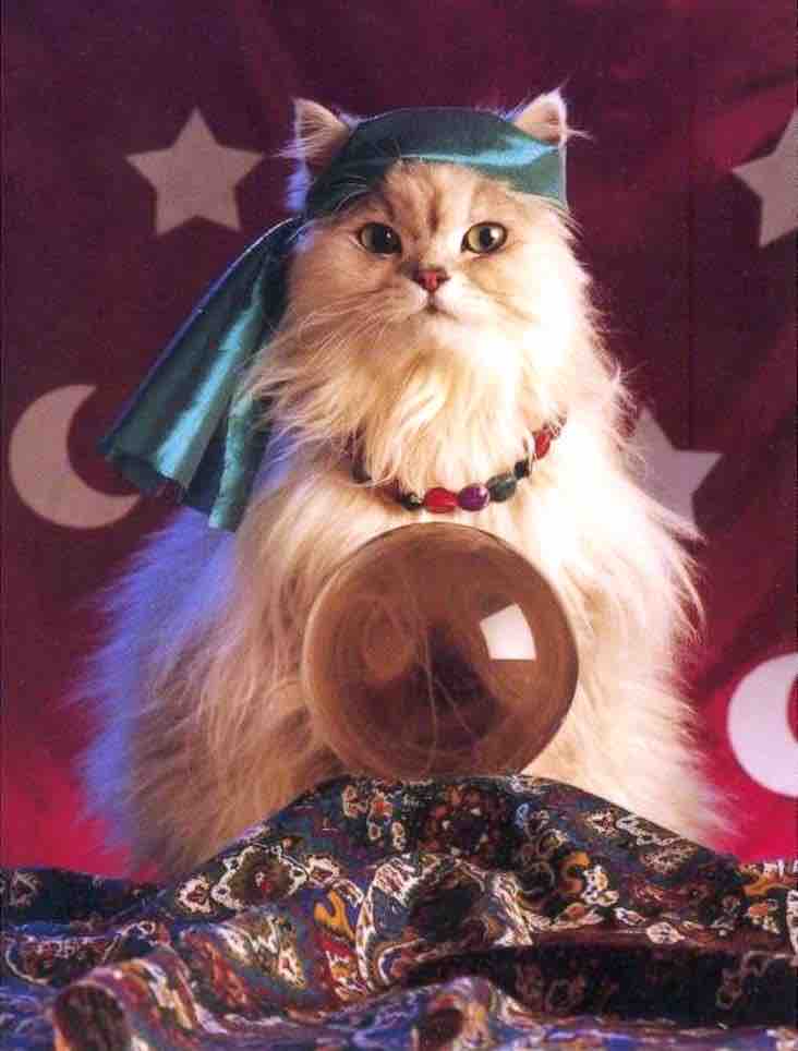 さすらいのリア