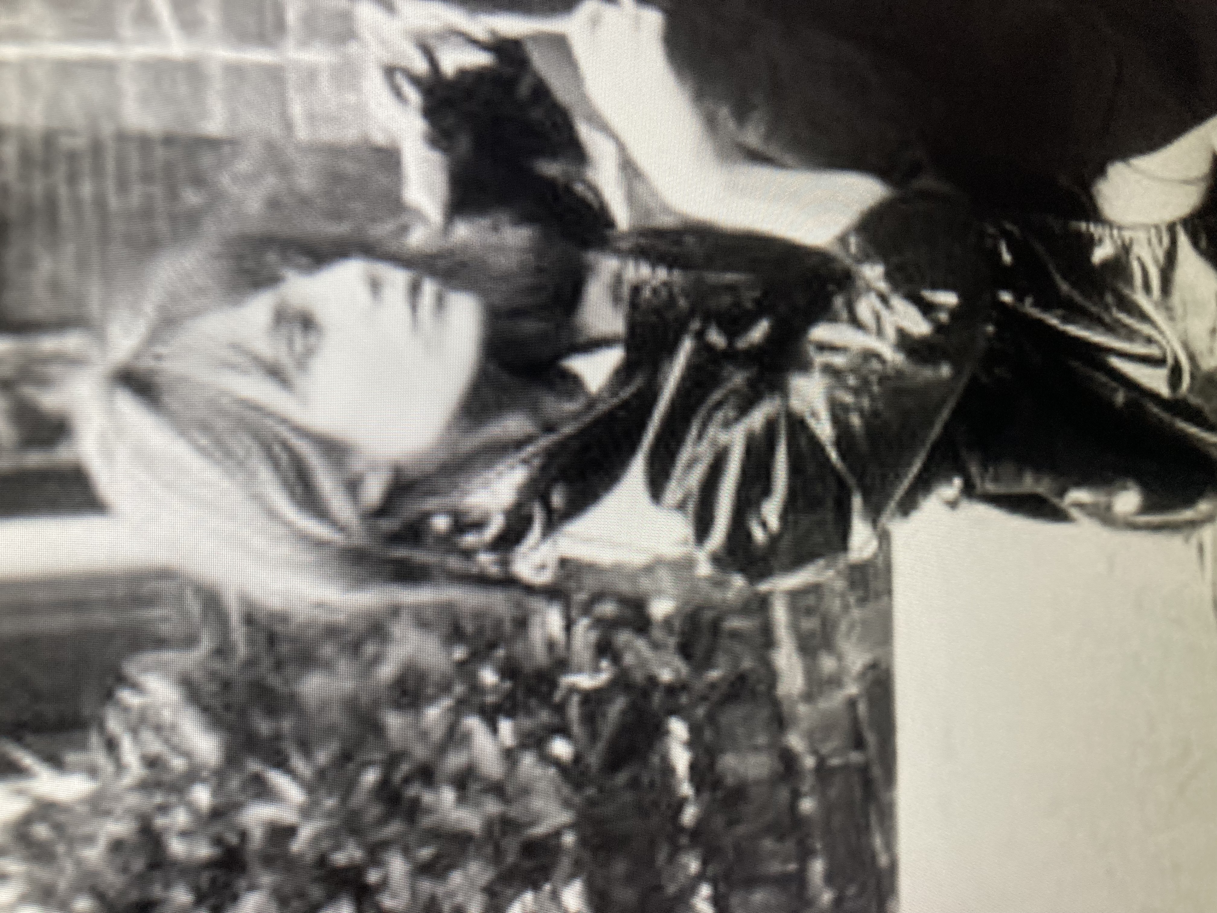 Mimiリップスショップで購入したものレビュー