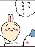 うさぎ