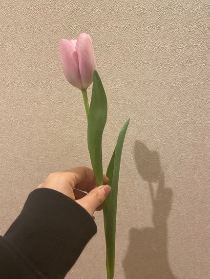 ちゅちゅ