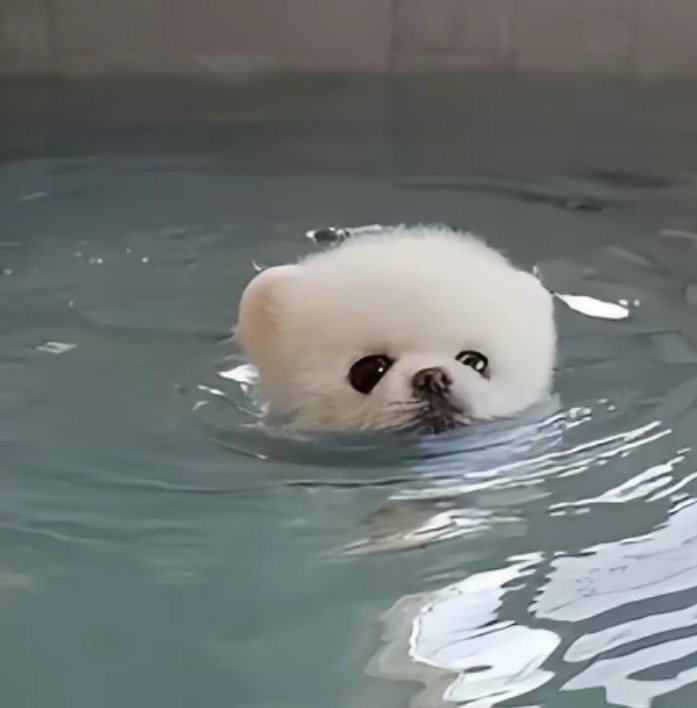 彼氏ぼしゅうちゅう