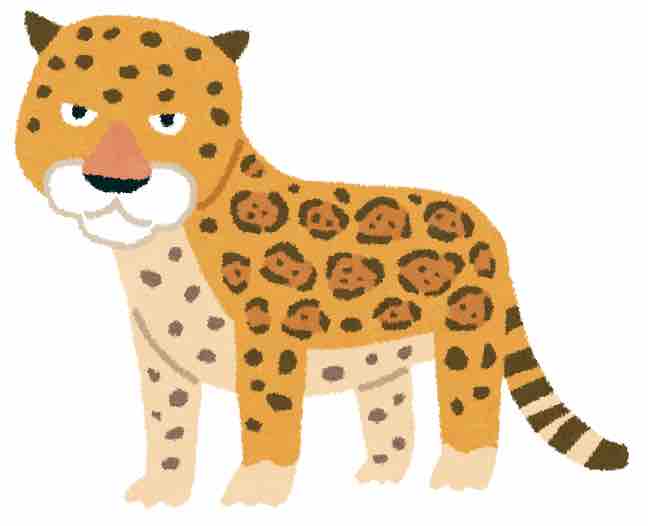 正社員ジャガー🐆