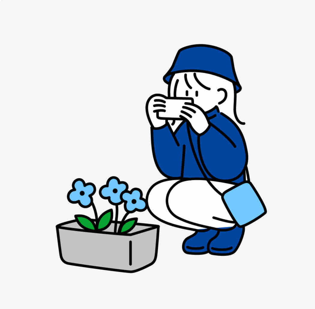 しば　フォロバ100