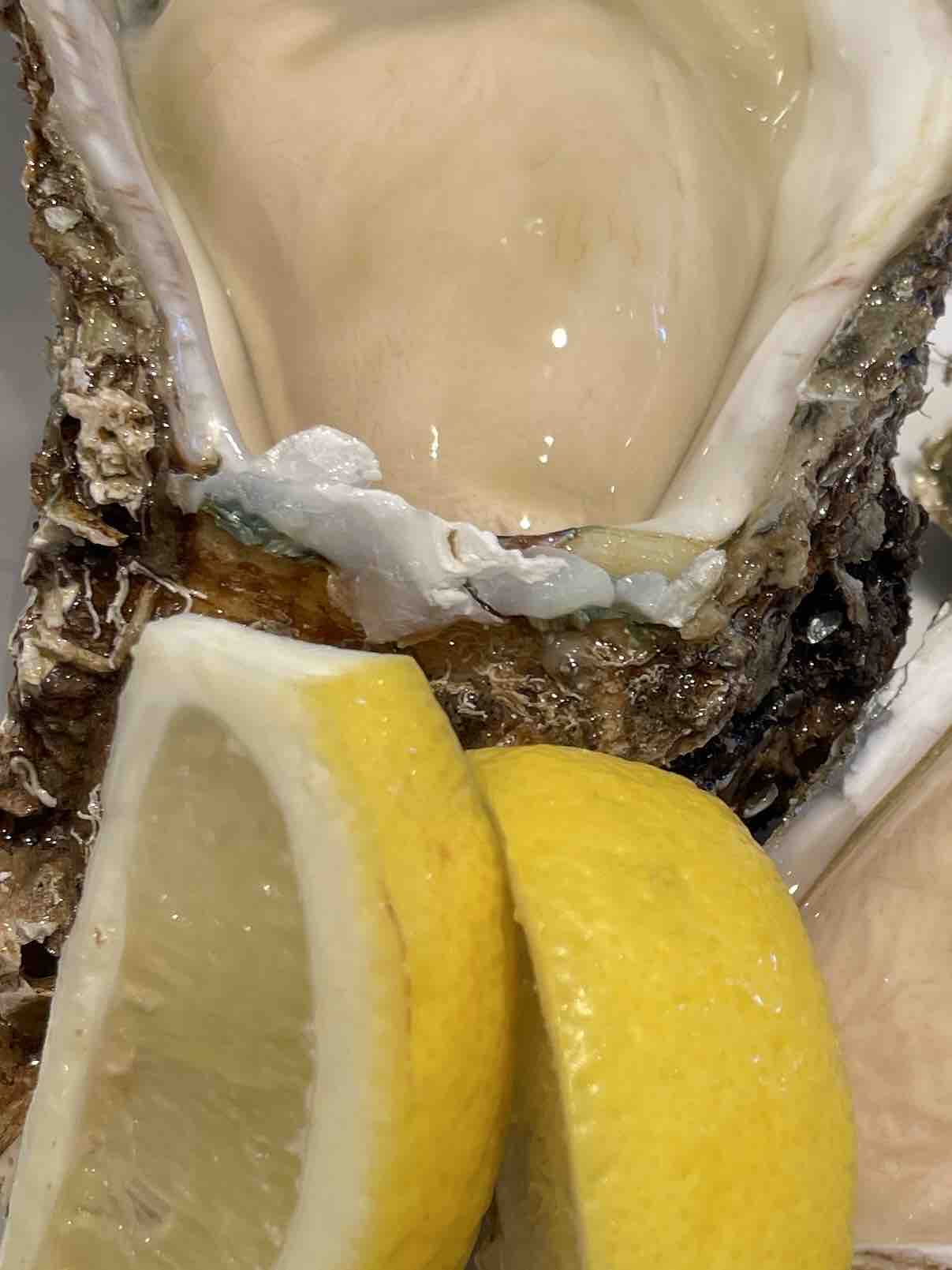 たまごちゃん🥚