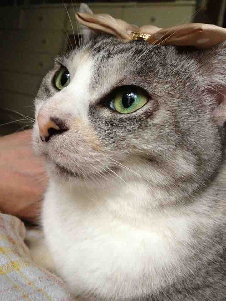 ちゃんみー♡フォロバ