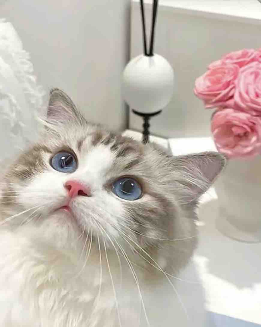 あーちゃん！フォロバ🫶🏻‎🎀