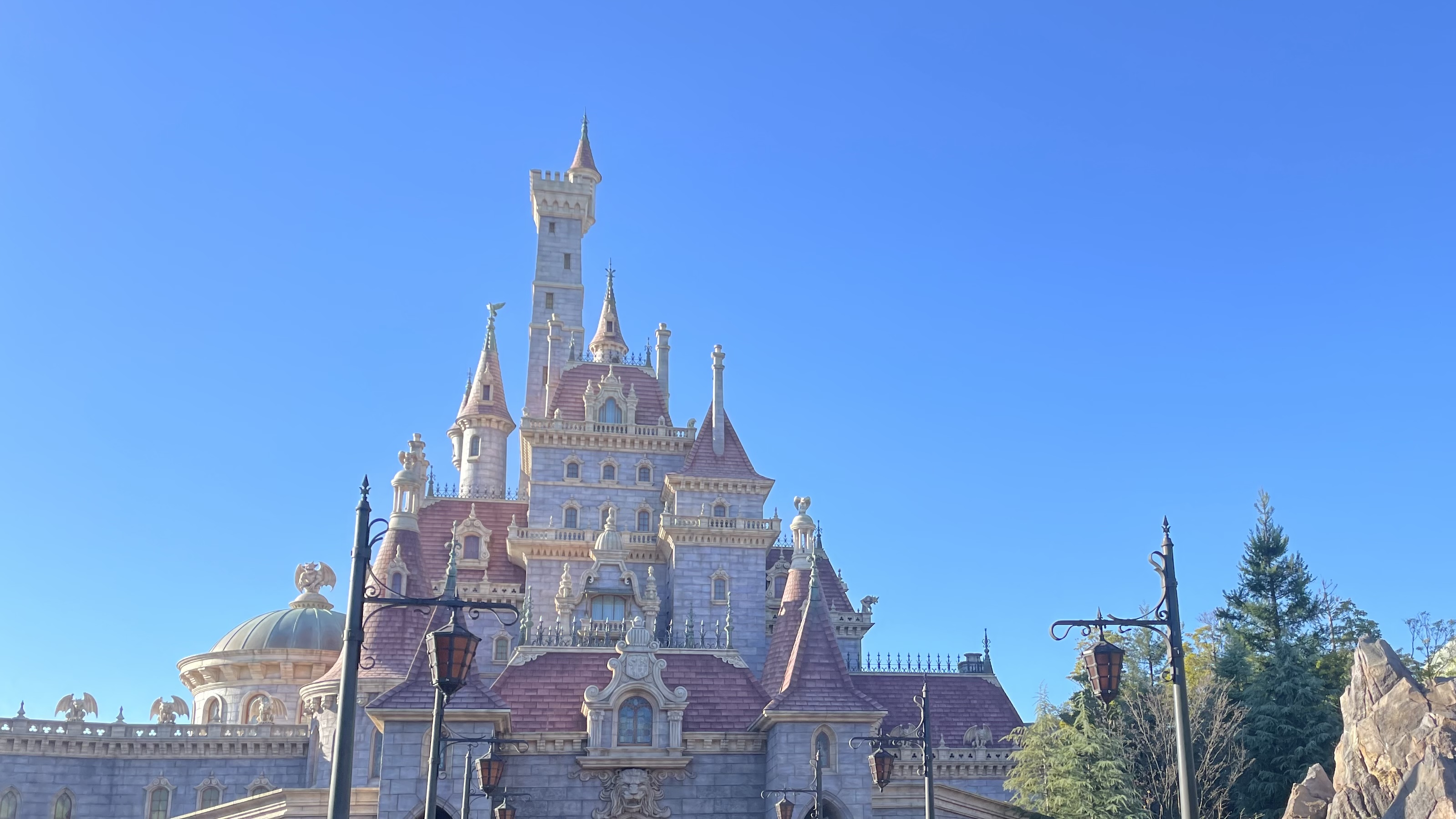 momo🍑フォロバ