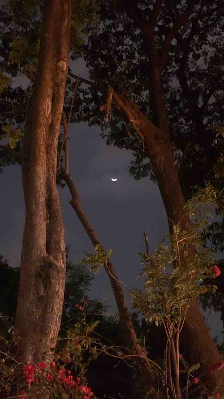 ななちゃんのコスメ