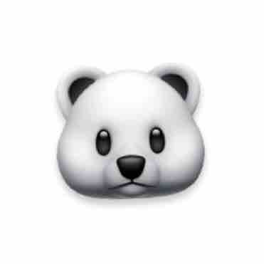 🐻‍❄ ⊿