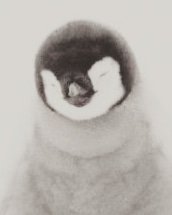 ( ˶ｰ̀֊ｰ́ )੭"