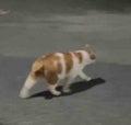 冷凍