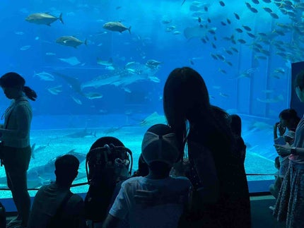 →beruru✳︎フォロバ100✳︎